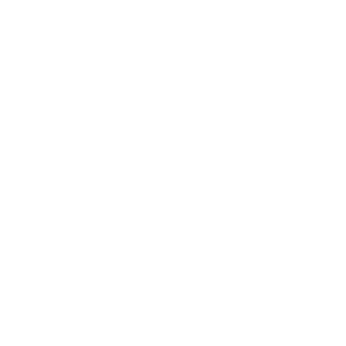 SoftYes TI logo